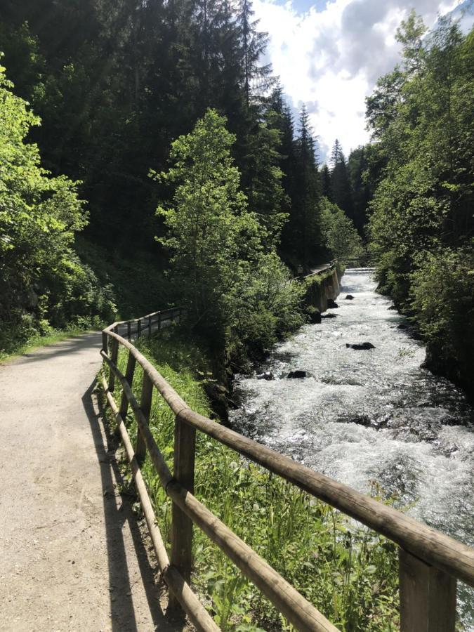 Mei-So-Nett Appartement Hutegger Schladming Bagian luar foto