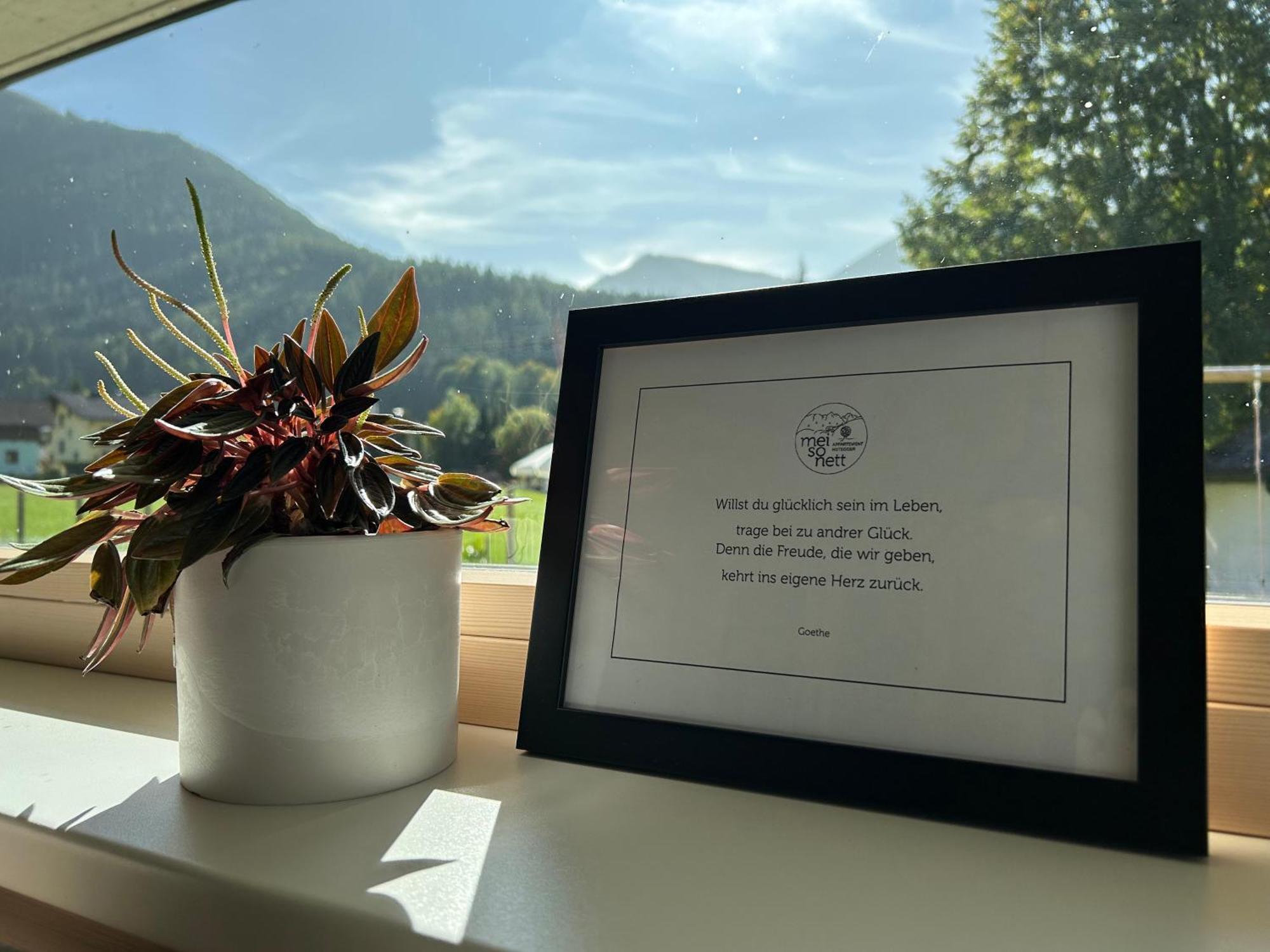 Mei-So-Nett Appartement Hutegger Schladming Bagian luar foto